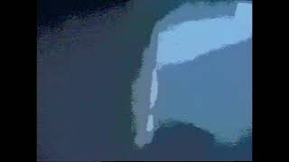ADRIAN BELEW w/ DAVID BOWIE- Gunman (Lead Vocal Muted) Blocked Words Remix