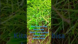 Download lagu Petani sawit petani karet jaya #motivasi #motivasihidup #katakatabijak #storywa mp3 Download lagu Petani sawit petani karet jaya #motivasi #motivasihidup #katakatabijak #storywa mp3