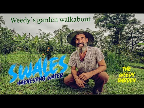 Saving Water and Nutrient with Swales: Weedy’s Garden Walkabout | Efficient Swales in Weedy’s Garden