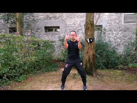 Wan Kam Leung Practical Wing Chun (France) - Siu Lee Teck Meng - compilatie of forms