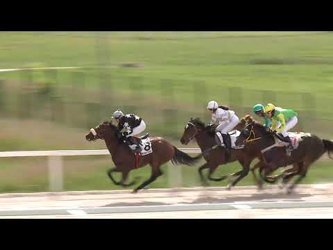 2021.05.30. 04. futam - FIRE FOR GOGA HENDIKEP (V/b.) (szintetikus pálya)