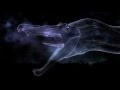 Walking With Dinosaurs 2 Intro V 1