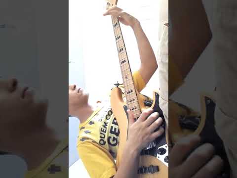 Amplificador Ampeg Ba-108 25w teste