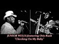 ■ JUNIOR WELLS featuring Otis Rush 1966 - "Checking on My Baby"