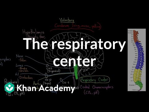 The respiratory center | Respiratory system physiology | NCLEX-RN | Khan Academy Video