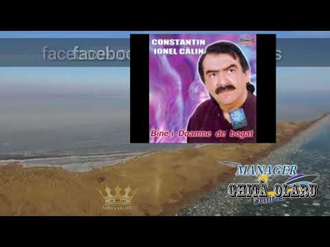 Constantin Ionel Calin - Tell me who took you from me - UNFORGETTABLE OLD MELODIES