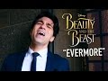 Evermore (From Beauty & the Beast)- Disney Cover | Daniel Coz