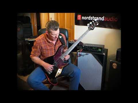Nordstrand NP4 & NJ4-SV pickups swap out in Peavey Zodiac bass