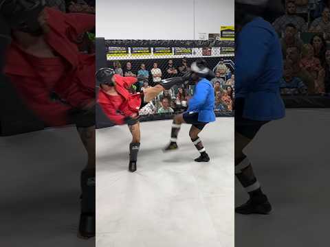 Head kick combat sambo