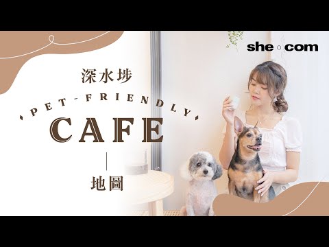 【香港好去處】帶主子影日系靚相！深水埗寵物友善Cafe地圖｜she.com