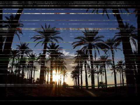 Dj Starlight-Desert Rose (Djanet Spirit Mix) By GouGa.wmv
