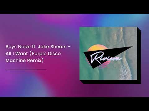 Boys Noize ft  Jake Shears - All I Want  (Purple Disco Machine Remix)
