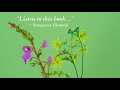 Order Now Where Stories Gather By Karuna Ezara Parikh HarperBroadcast