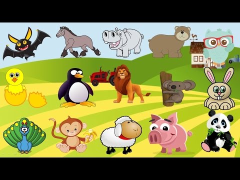 اسماء الحيوانات البرية باللغة الانجليزية Wild animals names