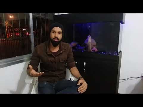 download lagu mp3 mp4 Ipseidade, download lagu Ipseidade gratis, unduh video klip Ipseidade