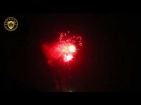81 Shot - Red, Green, & Tail To Colorful Meteor - DP23E067 - DunPai Fireworks