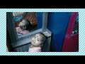 Udambellam Macchama Iruke Yenna Alagu Yenna Alagu