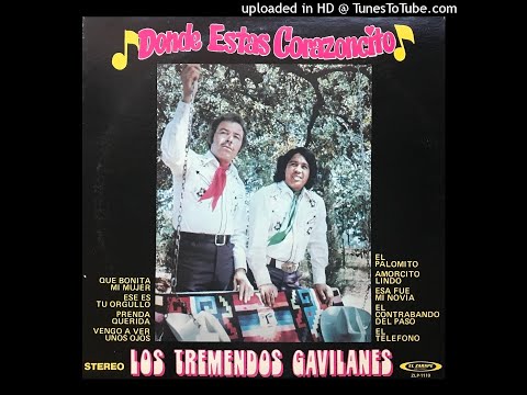 Los Tremendos Gavilanes - Donde Estas Coranzoncito LP