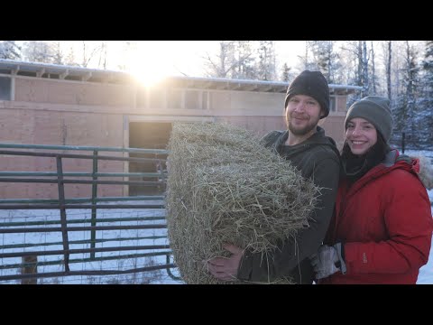 We Finished the Barn in Sub-Zero Temps | One Step Closer to Pack Horses