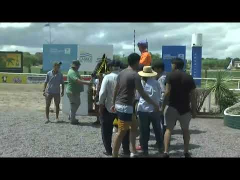 SINT COLONIA 230202 c04 1° NOITE FELIZ