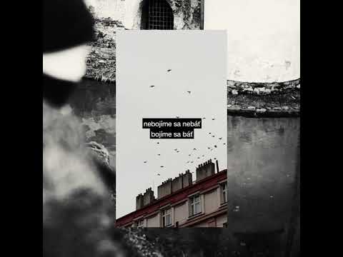 Prezident Lourajder - Ikarus