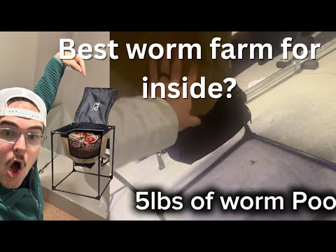 Urban Worm Bag 2 First Impressions - Big Output in Small Spaces?