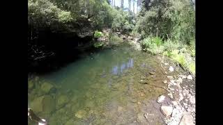 preview picture of video 'Tas landscape near hollybank'