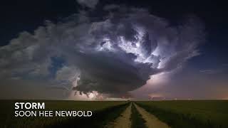 Cover art for Storm Soon Hee newbold