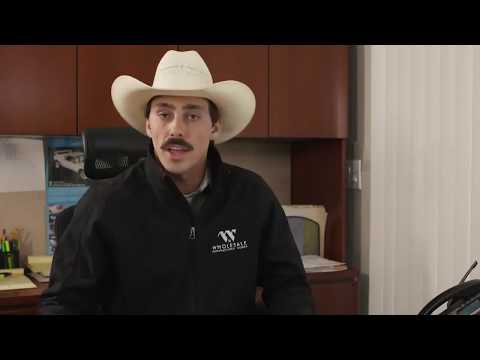 Wholesale Tiny Homes Stanton California