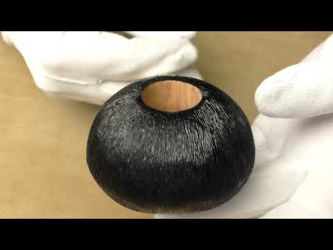 L'Anatra Pettinata Gigante - pipe 415