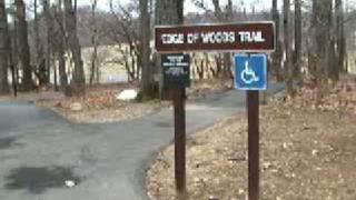 preview picture of video 'Rock Creek Park - Edge of Woods Hiking Trail DC'