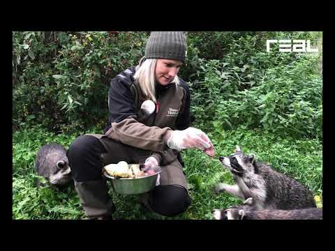 Träffa vår nya djurvårdslärare Caroline!  På Realgymnasiet i Helsingborg