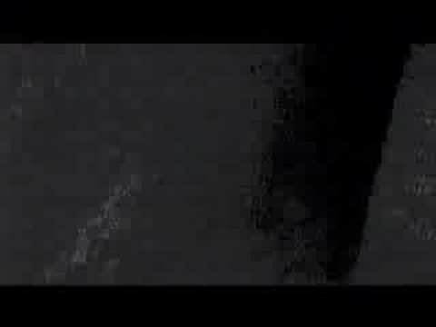 deep grave min og dog bouncyy days