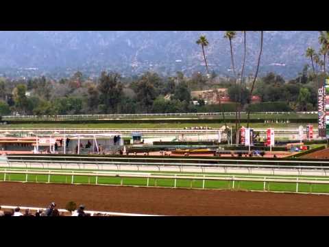 Sham stakes 2015 - Collected