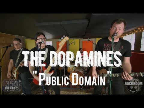 The Dopamines - "Public Domain" Live! from The Rock Room