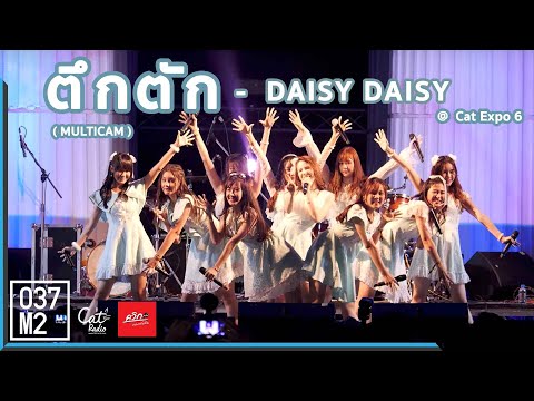 191123 Daisy Daisy - ตึกตัก @ Cat Expo 6 [Multicam Fancam 4k60p]