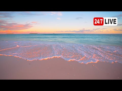 Ocean Ambience 4K (LIVE 24/7). Tropical Beach & Ocean Waves Sounds. Maldives InterContinental
