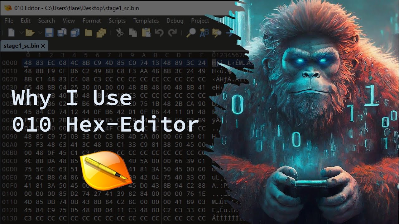 Why I use the 010 Hex-Editor - Essential Reverse Engineering Tools