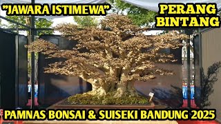 Download lagu SPECIAL CHAMPION π€© STAR CLASS PAMNAS BONSAI SUISEKI BANDUNG 2025 mp3 Download lagu SPECIAL CHAMPION π€© STAR CLASS PAMNAS BONSAI SUISEKI BANDUNG 2025 mp3