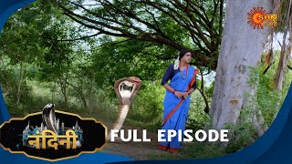 Download lagu Nandini - Episode 507 | Bhojpuri Naagin show | Sun Bhojpuri | Bhojpuri Serial mp3 Download lagu Nandini - Episode 507 | Bhojpuri Naagin show | Sun Bhojpuri | Bhojpuri Serial mp3