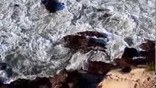 todos carregamos alguma morte