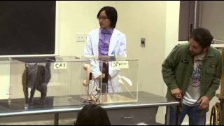 It's Always Sunny in Philadelphia - Flowers for Charlie - The Placebo Effect