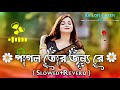 পাগল তোর জন্য রে Pagol Tor Jonno Re Slowed Reverb Nancy Belal Khan Lofi So