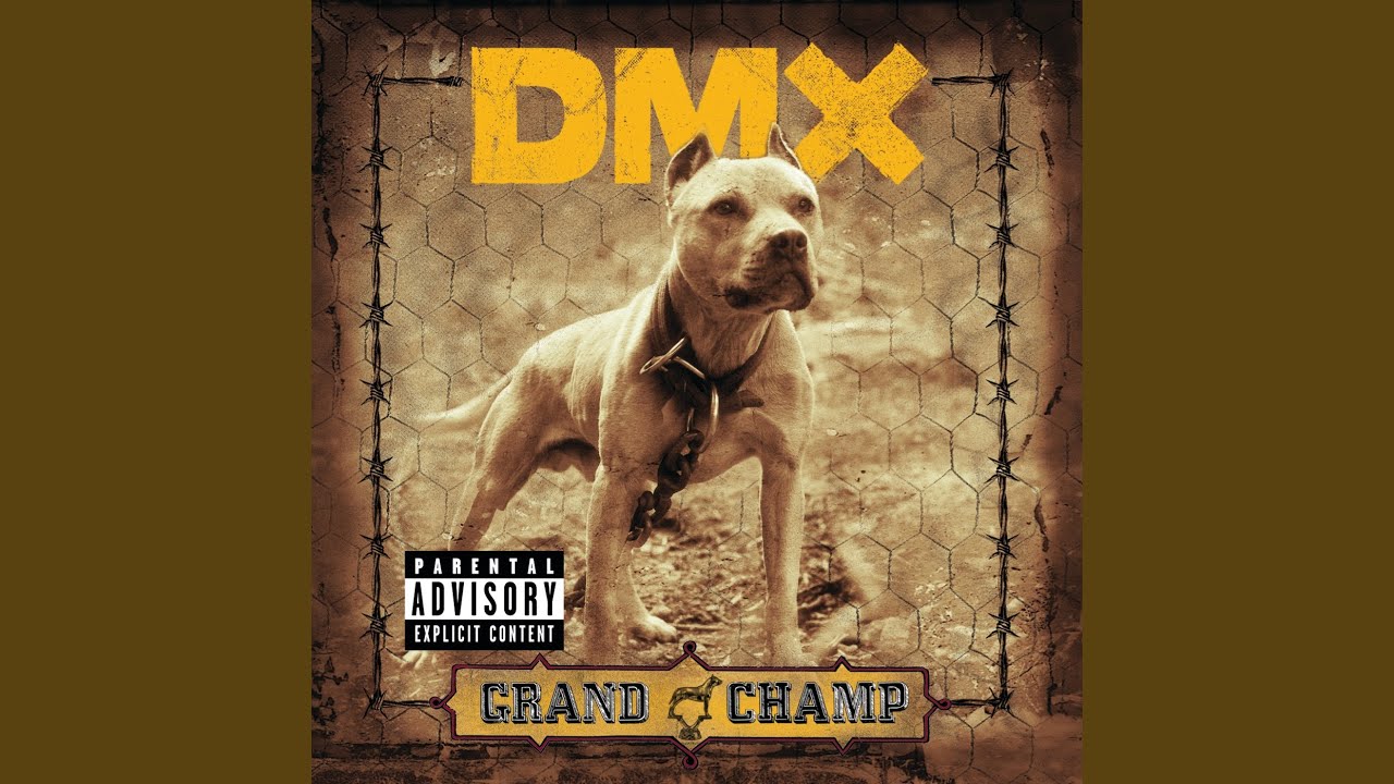 DMX - Untouchable