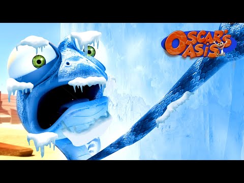 ICE in the DESERT?! 🥶 | Oscar’s Oasis | Funny Cartoons for Kids