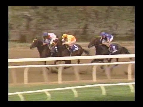 1995 Woodward Stakes - Cigar