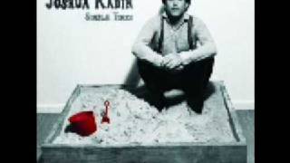 Josh Radin-One Of Those Days