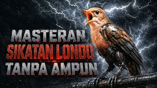Download lagu MASTERAN SIKATAN LONDO PALING GANAS UNTUK PEMASTERAN 🔥 mp3