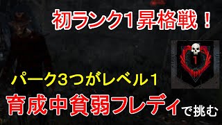 【DBD実況】初ランク1を目指して！育成中のフレディで高ランクサバイバーに挑む【デッドバイデイライト】