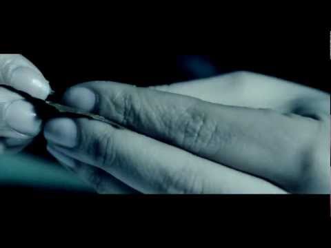 Ariez Onasis - "Weed x Brews/Hands On The Wheel Remix" Official Music Video